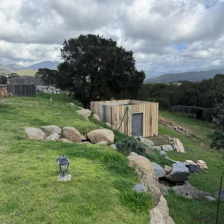 Maison De Campagne Sartène